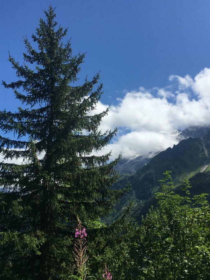 شقة Les Pierres Blanches Mont Blanc لي كونتامين مونتجوا المظهر الخارجي الصورة